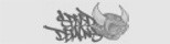 SPEED DEMONS