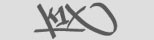 K1X
